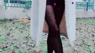 丁克爱泼辣娜娜樱花