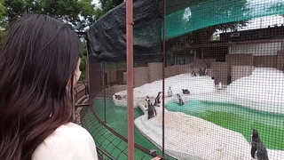 韩国电影《私人教练》2干保定人妖