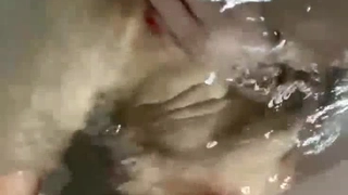吻胸视频大全视频没处理完，先放出最后吃精